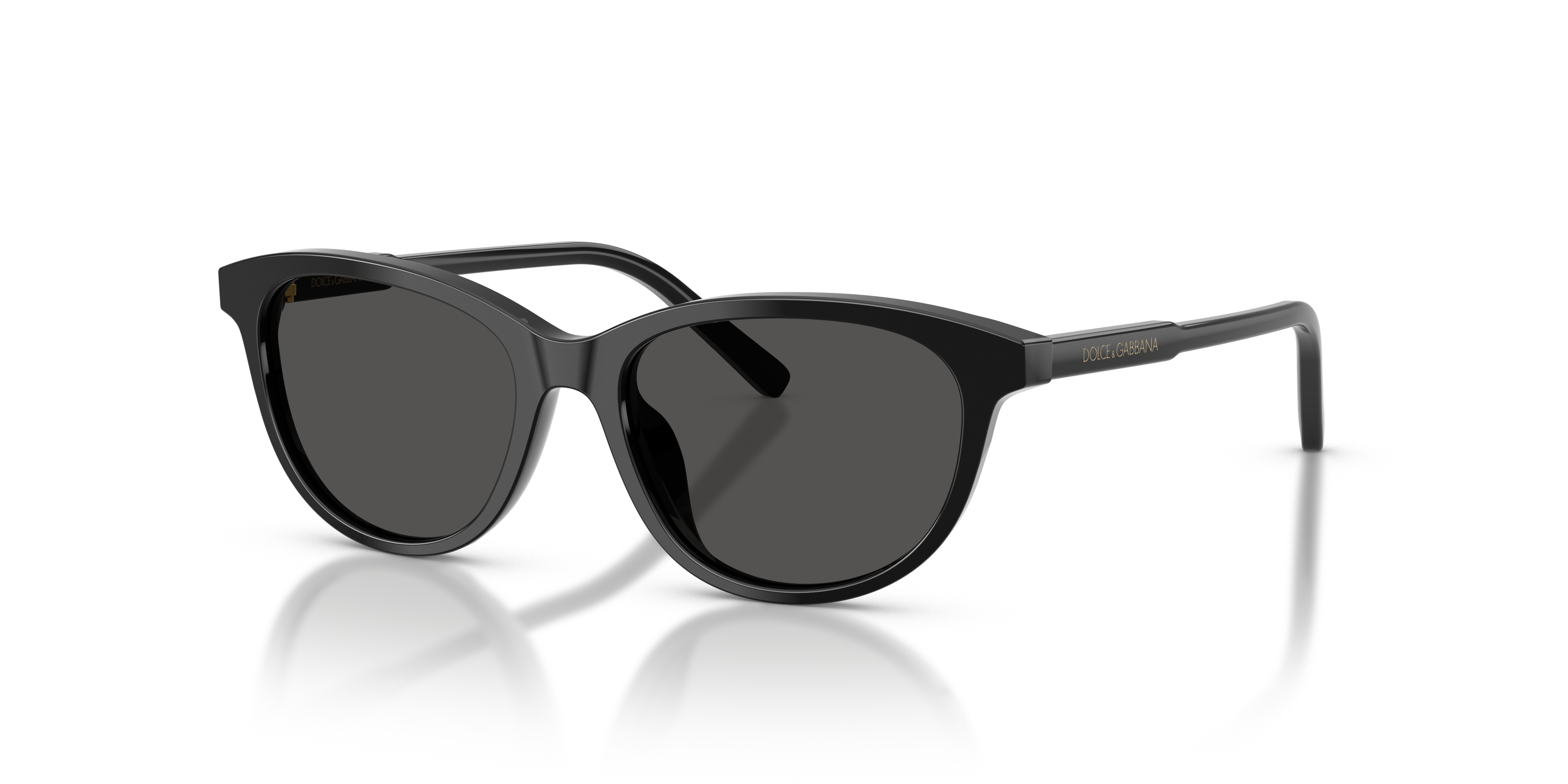 Dolce & Gabbana DX4010 501/87  